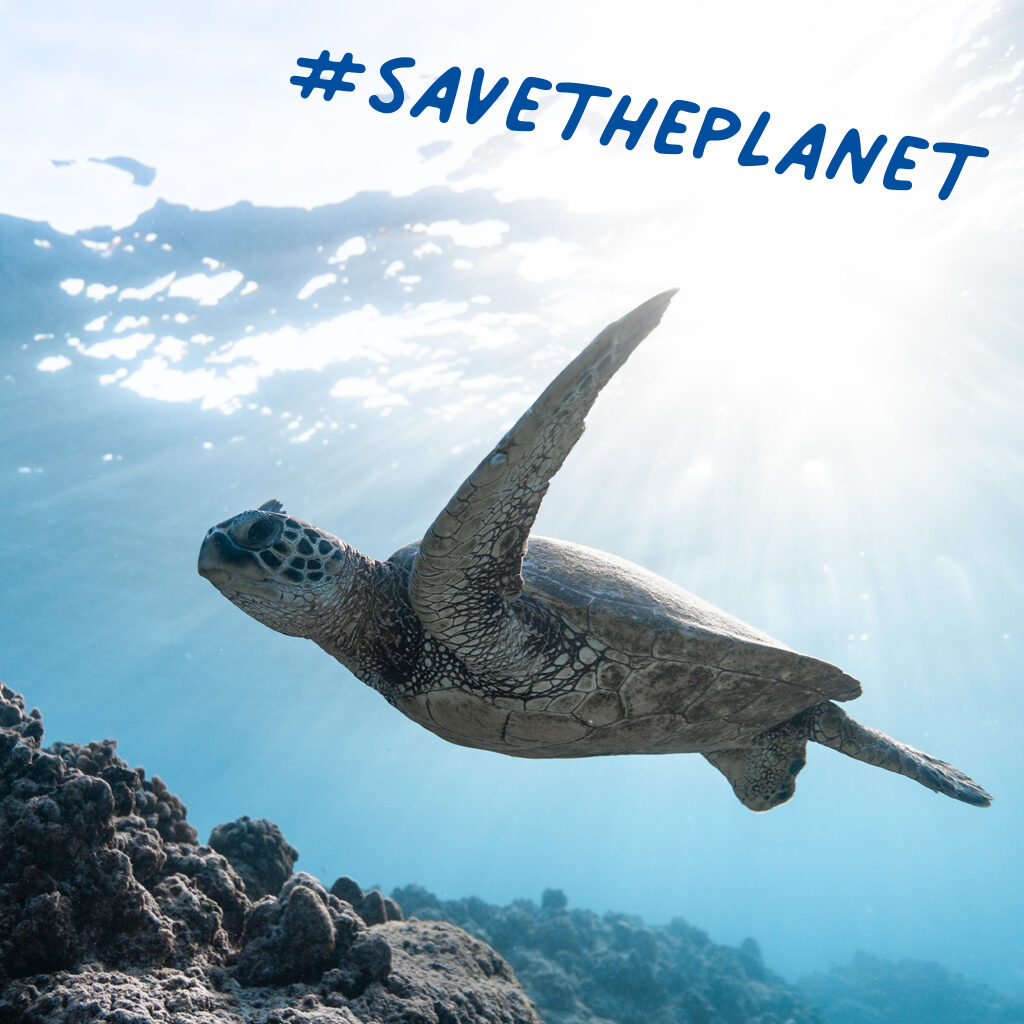 save the planet