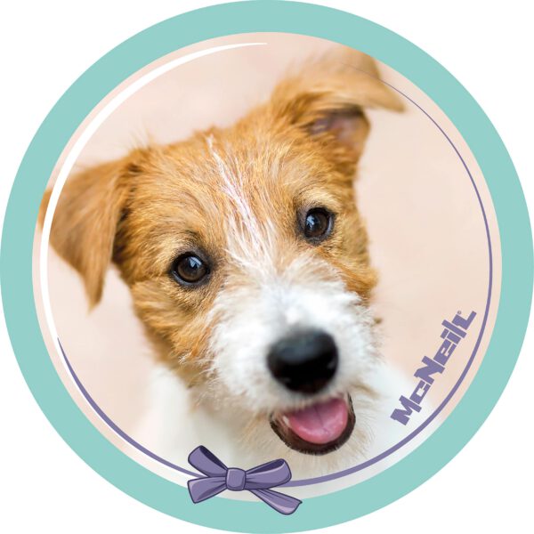 McNeill McAddys zu Schulranzen HAUSTIER Hund