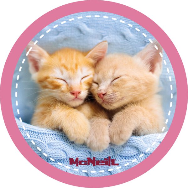 McNeill McAddys zu Schulranzen HAUSTIER Katzen